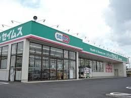 フォーチュン　Ⅳ 201号-14