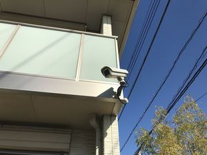 ヴィルドミール 103号-13