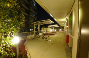 シャルマン 203号-14