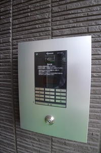 Ｈａｌｅ　Ｋａｎａｌｏａ 102号-14