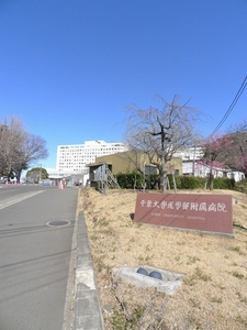 フォレストＮ　Ⅲ 201号-13