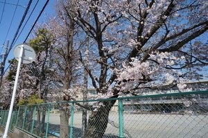 シャーメゾン　ガーデン 102号-15