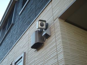 ＳｈａＭａｉｓｏｎ　Ｓａｗａ 201号-15