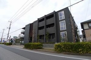Lelie 305号-12