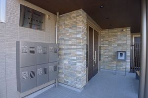 Ｌｕｐｉｎｕｓ 203号-14