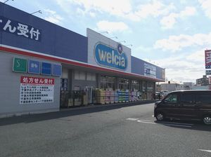 エターナリー 308号-13