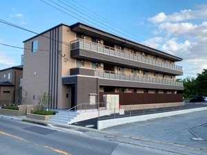 Ｃｅｄａｒ　Ｗｏｏｄ（シダーウッド） 208号-1