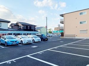 Ｃｅｄａｒ　Ｗｏｏｄ（シダーウッド） 208号-13