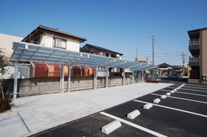 Ｃｅｄａｒ　Ｗｏｏｄ（シダーウッド） 208号-14