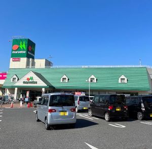 ルミエール南町 102号-15