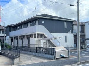 New RichⅢ 203号-12