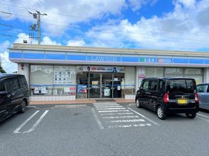 New RichⅢ 203号-13
