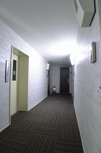 ソフィア エクシード 404号-14