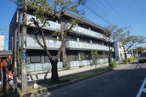 アンジェラ南流山 203号-1