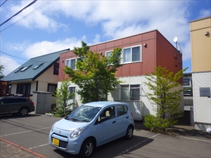 Ｌｕｐｉｎｕｓ　ＰｅｋｅｒｅＡ