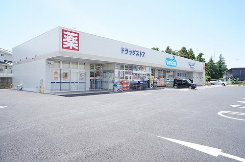 Calf Bridge 203号-3