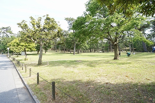 センパークＢ 201号-12