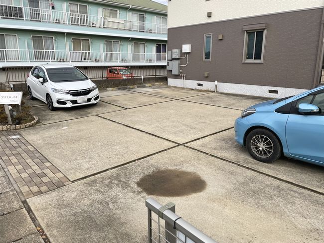 アリエル・ミキ 101号-12