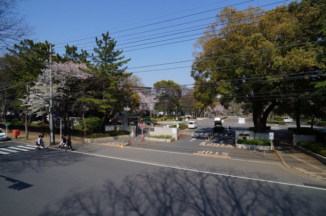 光ハイム 203号-14