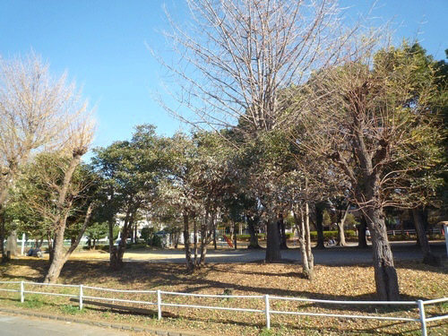 プルミエール緑ヶ丘 202号-10