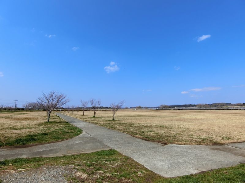 エクセルパレス佐貫Ｂ 201号-4