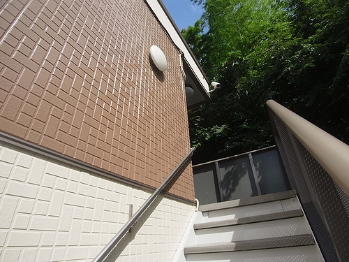 クリーンオオシカ 206号-13