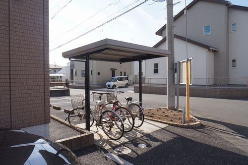 スターチス　Ａ 103号-13