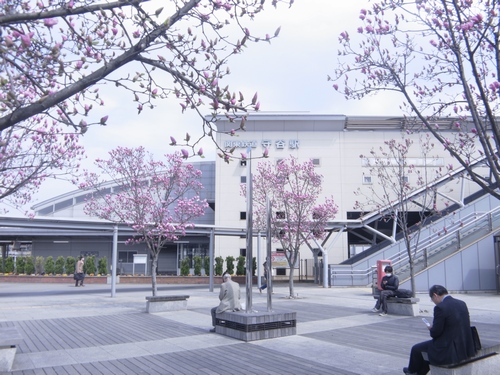 ル・シェル 103号-13