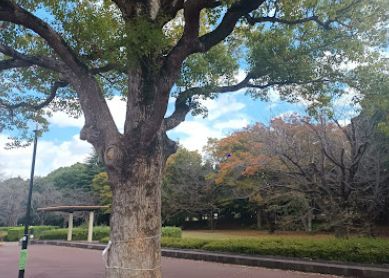 ショコラ・フォレスト壱番館 101号-14