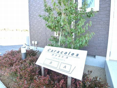 カラコレス B 103号-15