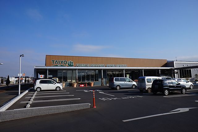 Ｃｏｒｏ（コーロ 203号-14