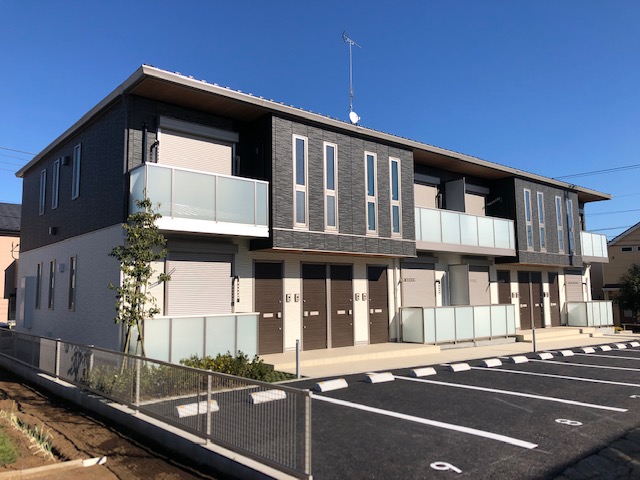 フロイデ法典 205号-12