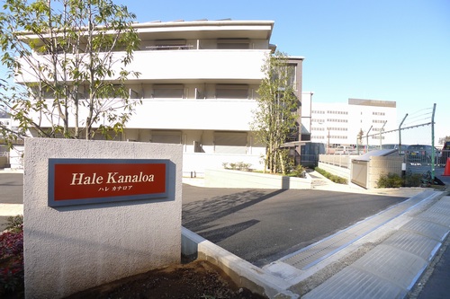 Ｈａｌｅ　Ｋａｎａｌｏａ 102号-12