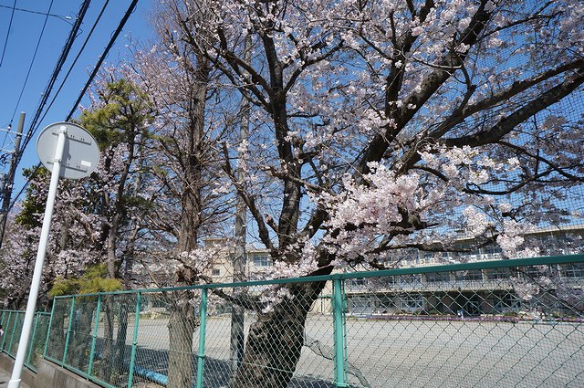 シャーメゾン　ガーデン 102号-15