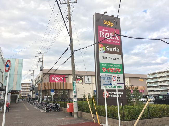 Ｃｈｉｂａｌｙ　Ｔｏｄｏｒｏｋｉ 202号-4