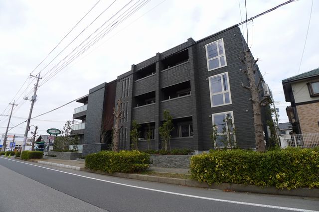 Lelie 305号-12