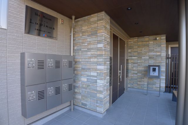 Ｌｕｐｉｎｕｓ 203号-14