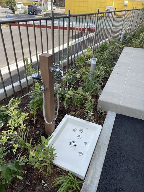 オルト・マデーラ 105号-14