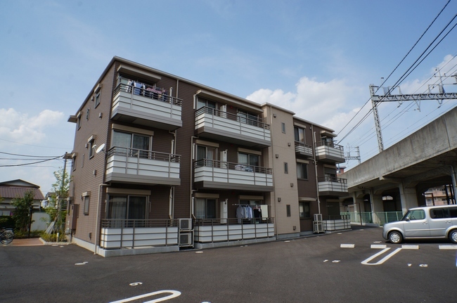 セルディーナ・Ｍ 101号-12