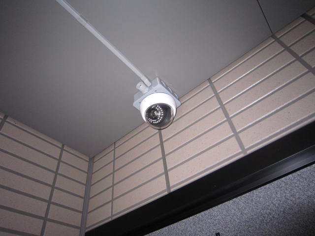 タウンコート中の島