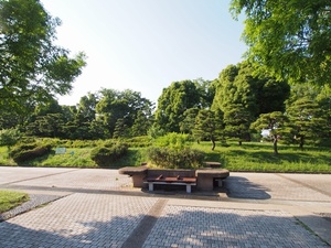 プリムロ－ズ大島 101号-14