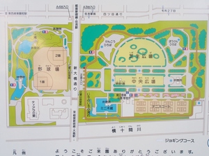 プリムロ－ズ大島 101号-15