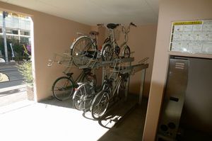 オリーブ 211号-14