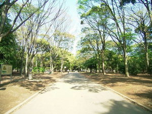 フォーレスト代々木　Ｂ 204号-14