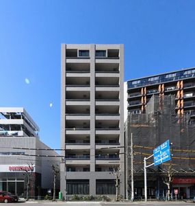 WATOREI 白金 402号-12