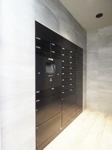 ＳＯＬＡ　ＶＩＳＴＡ　ＳＵＧＡＭＯ 1001号-14