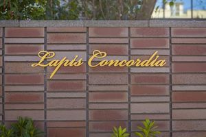 Lapis Concordia 101号-5