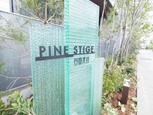 PINE STIGE自由が丘 203号-15
