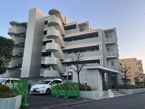 セルディーナ東小金井 303号-1