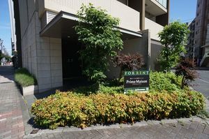 プライムメゾン森下 305号-12